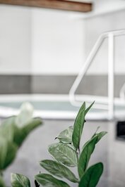 Pflanzen im Ruheraum vor einer hellen Sauna- oder Wellnessfläche.