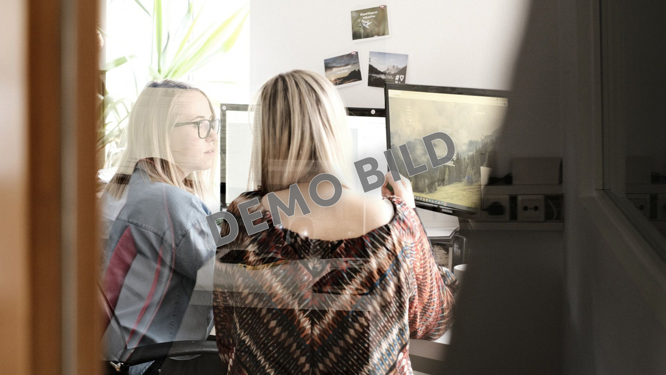 Zwei Frauen sitzen im Büro vor Computermonitoren und besprechen die Arbeit.